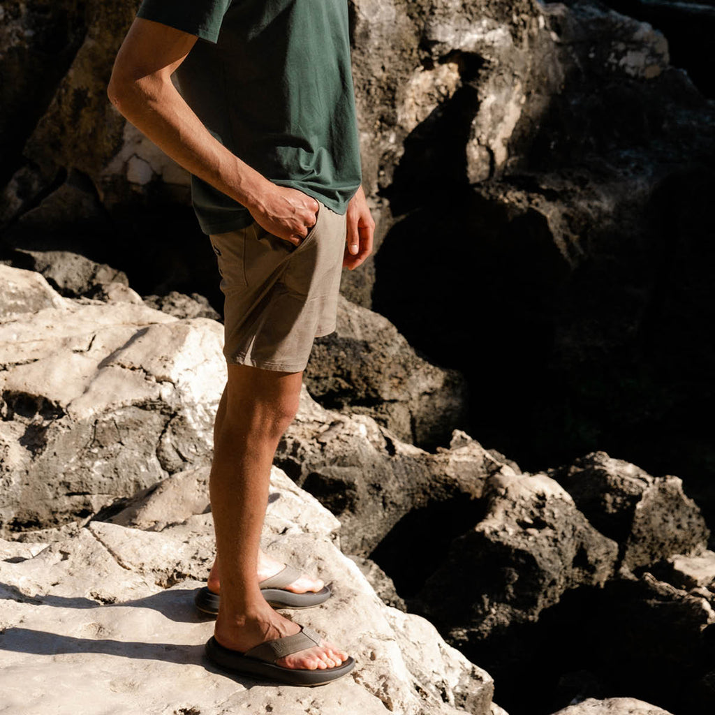 Cruiser - Brown/Tan