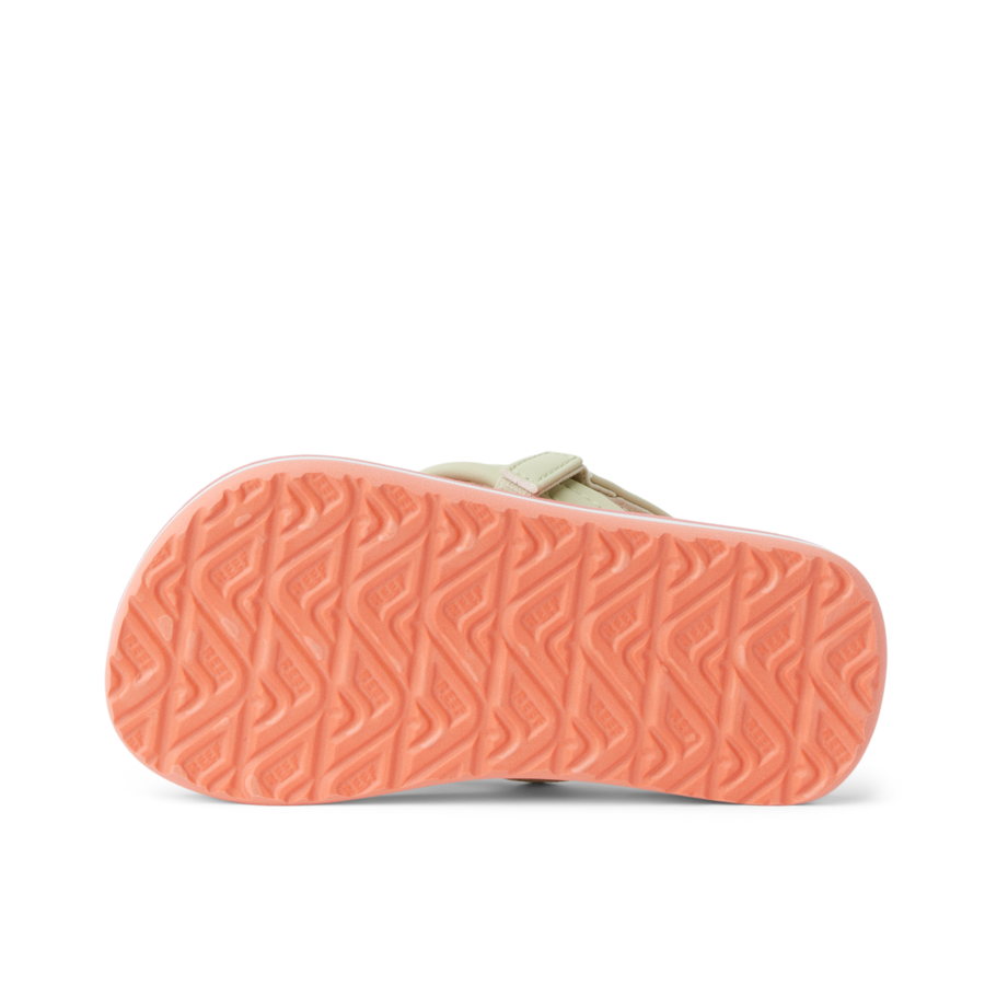 Little Ahi - Citrus Fruit - Underside View