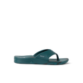 CJ9731